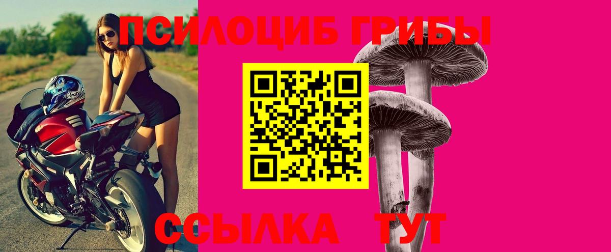 Иваново  Галлюциногенные грибы Psilocybine cubensis  Псилоцибиновые грибы мухоморы  Вход с VPN 